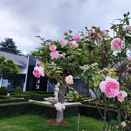 Kunst-villa Mit Privatpool Grazsued, Mit Gartenblick Ohne Pool