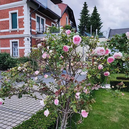 Lejlighed Kunst-villa Mit Privatpool Grazsued, Mit Gartenblick Ohne Pool Unterpremstätten