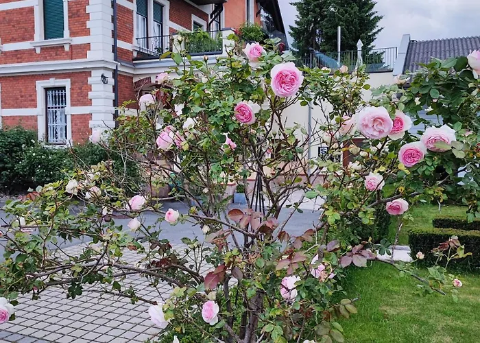 Apartment Kunst-villa Mit Privatpool Grazsued, Mit Gartenblick Ohne Pool Unterpremstaetten